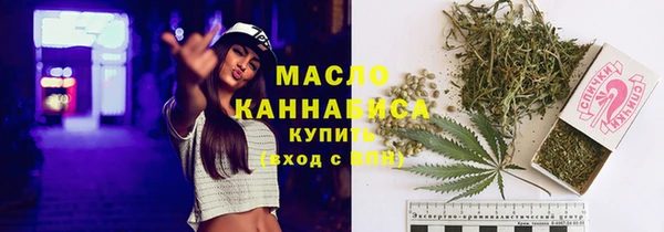 мдпв Михайлов