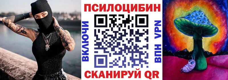 Псилоцибиновые грибы мицелий  наркотики  Нолинск 